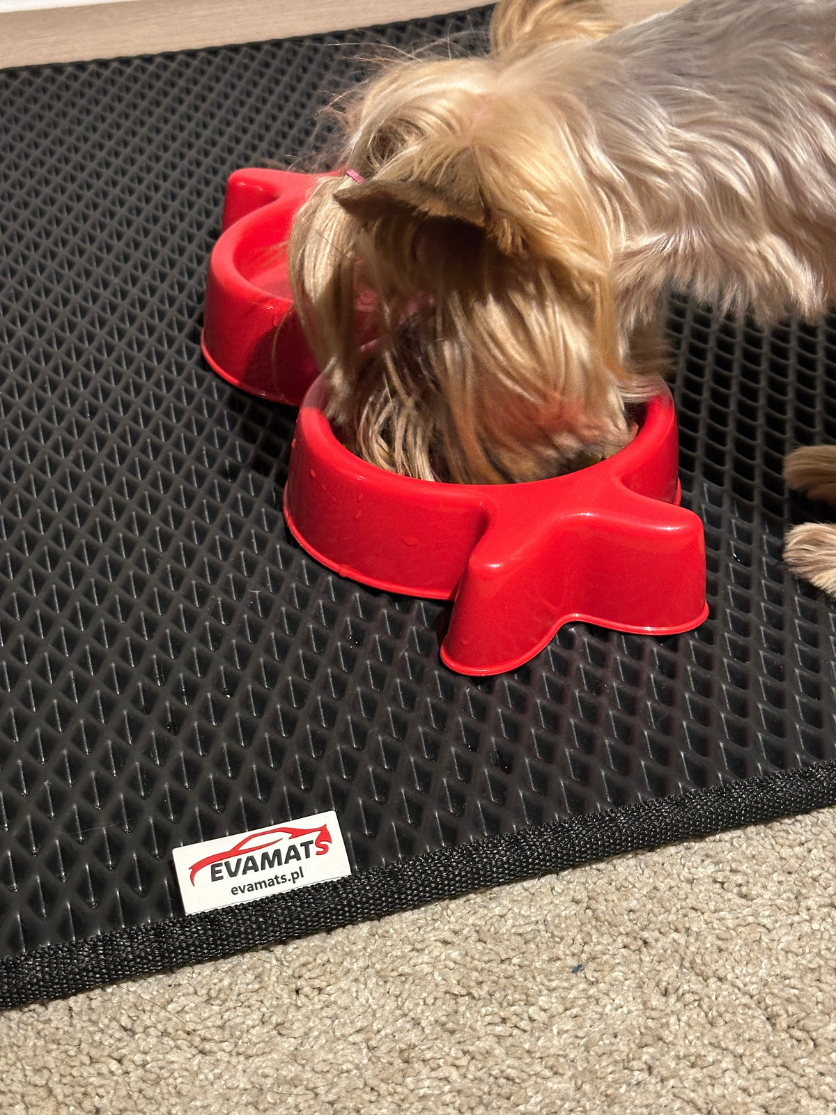 Alfombrilla universal para mascotas