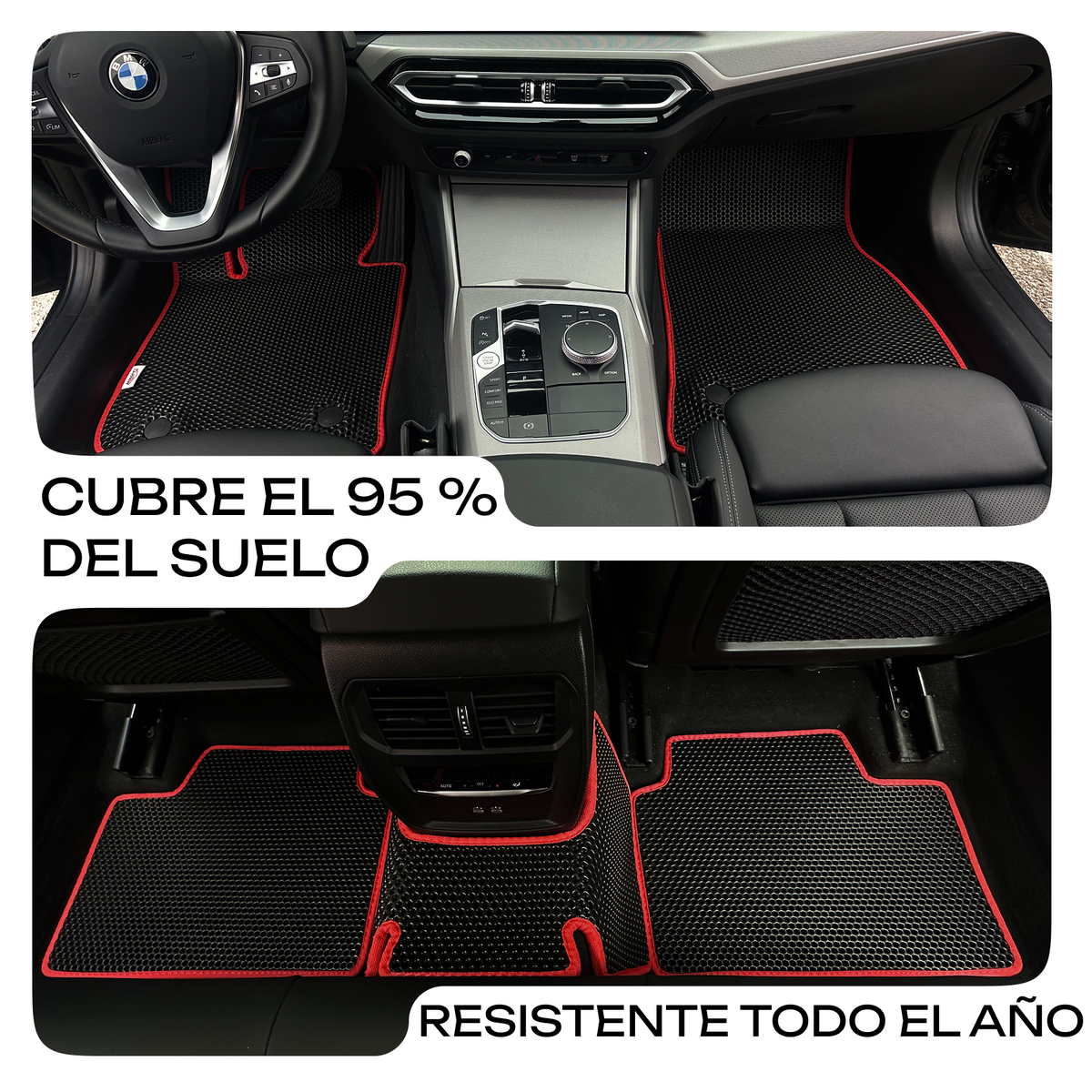 Cubre el 95 % del suelo y resiste todo el año
